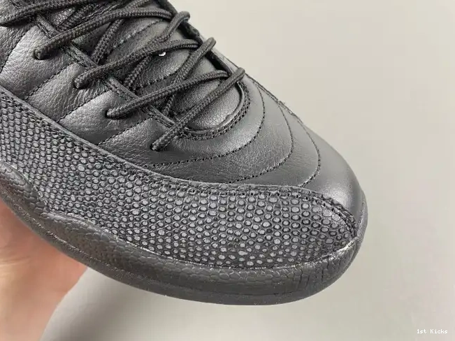 The 130690-013 Jordan Retro Master 12 Air 0522